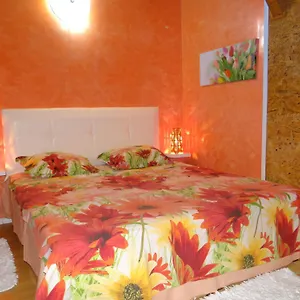 Orange Flower Apartament Sofia